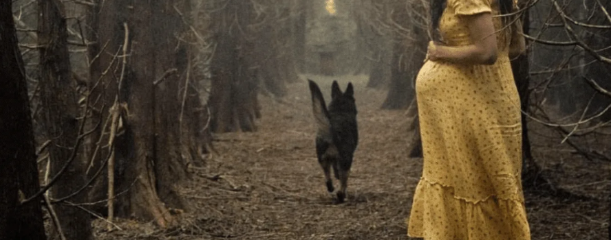 2023 Samhain Awards, the only objectively factual assessment of the year in horror cinema